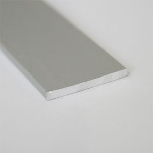 Platbanda, 20 mm, 2 m, argintiu satinat